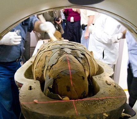 �ͽ�ɨ����