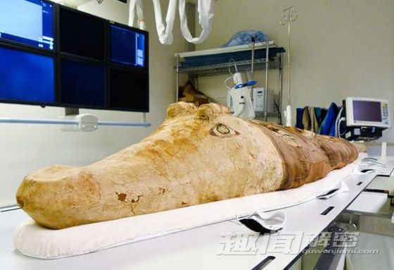 ����ľ�������