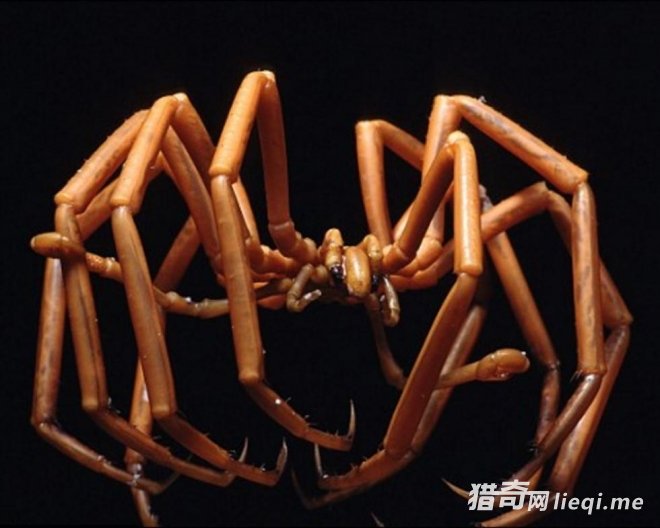 �̵������Щ���δ�����ľ�������(1)