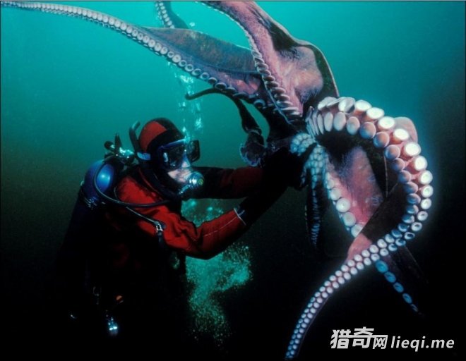 �̵������Щ���δ�����ľ�������(1)