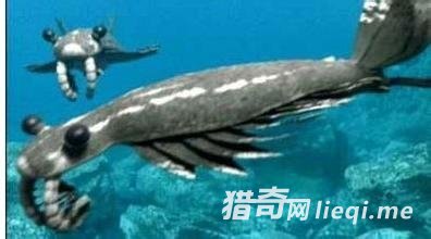 Զ�������͵Ĳ�ʳ�߾�Ȼ������(1)