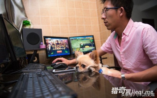 ֱ����Ϸ������ʵ���ͬ��19̨���ԣ����ѵ�Ѿ�Ҫ����(1)