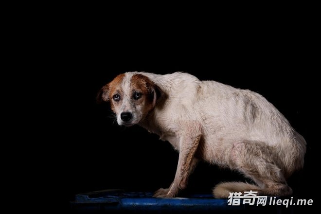 ί�������������Ƥ����ͷ(1)