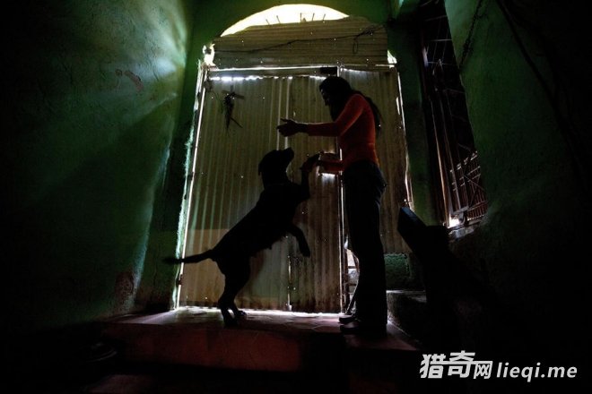 ί�������������Ƥ����ͷ(1)