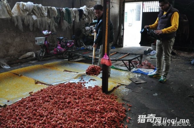 ֱ������ǩ������� ��������������Ż(1)