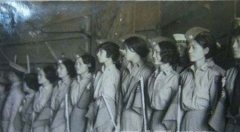 ����Ů���ռ��ع����Ʋ���