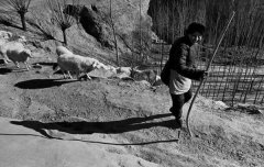 ���һ������Ů��