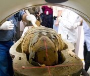 �ҿ��Ű�����ľ����������