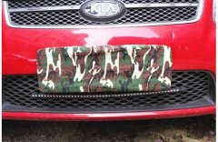 ���ֵ��������⣬��������