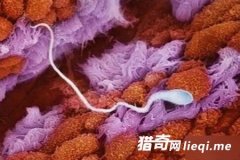 һ��ͼչʾ �����������ܾ�ȫ����