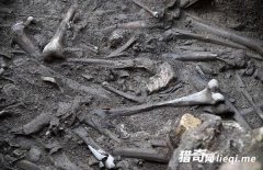 �����޵������ڳ���ǧ��ǰ�ž�Ӫ