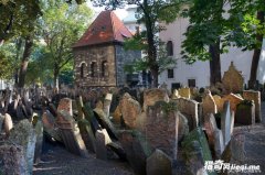 ��������10���׵أ�������Ĺ԰����ʮ���ˣ�������֮����������