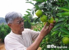 �й�6�󡰴�ҵ�̸��������Ǵ������С��ͨ��ʼ��63���ٴ�ҵ