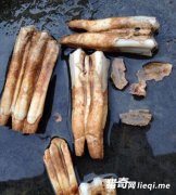 ũ������ɽ���ڳ�һ�����ݣ�����˵������