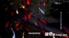 ʩ���ӷ������ؽ��� ר�ҿ�������