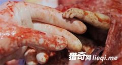 ������������ӹ�����ץס