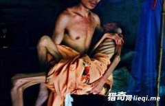 ����Ƭ�����̲��������һ