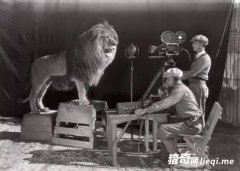 ��Щ��ʷ��������Ƭ��û�����Σ�������ʵ��