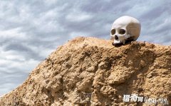 �����½��ų�����200Ӥ��Ĺ ҹ��������������ɳ���й�