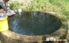 ԥ���и�Ȫ��ɲⱻ��Ϊ