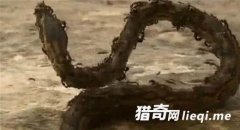 ���!�������о���Ѩ ˲