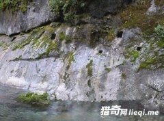 �������ֽ�300��ջ���ż� Ħ��ʯ��