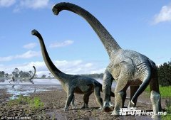 ���޹�������ǰ���������֣���15�ף���18��