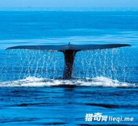 ����Ϊ�λ�ѡ��ײ���������������겻��