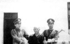 ׷�����һ�������޷� 65��������ɽ