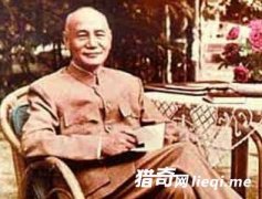 ����ʯ���ź�Ϊ�α��ձ�ý����Ϊ��Ӣ�ۡ�