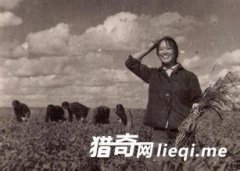 ��֪���䣺û��������Ұ�����ʱ�������