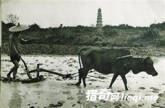 ���վ����Ժ��ϵ����У�18��ׯ��Ϊƽ��