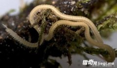 �̵��������������������治��������